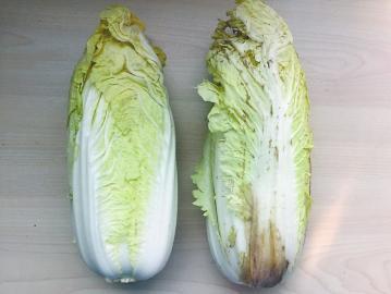 乾港集團 乾港集團